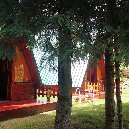 Etno Selo -Sapat- Villa Savnik Kültér fotó
