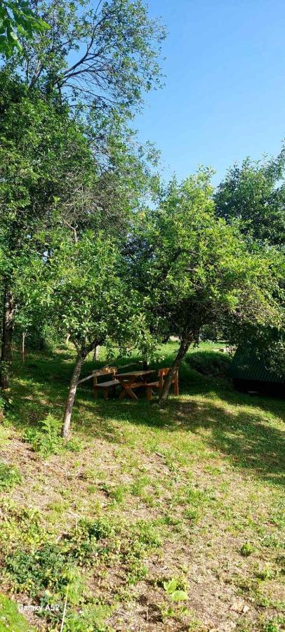 Etno Selo -Sapat- Villa Savnik Kültér fotó